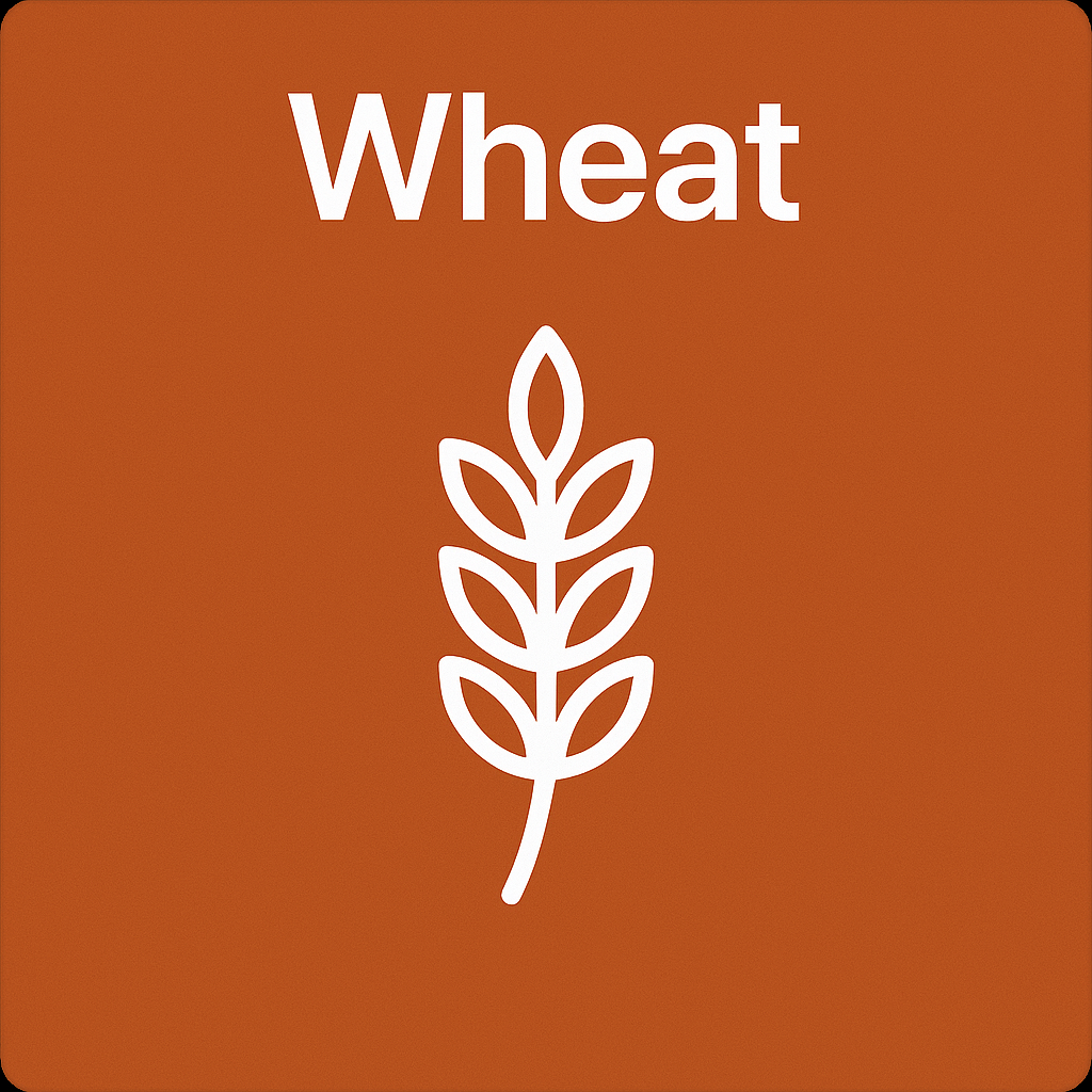 Wheat